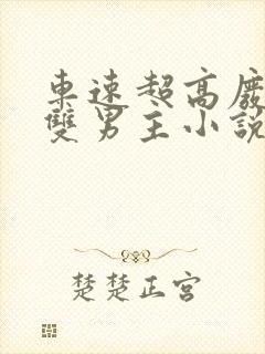 车速超高废文的双男主小说在线阅读