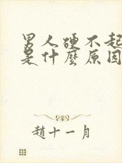 男人硬不起来了是什么原因