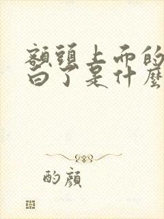 额头上面的头发白了是什么原因