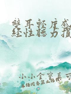 双耳轻度感音神经性听力损失