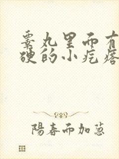 睾丸里面有个硬硬的小疙瘩挂什么科室