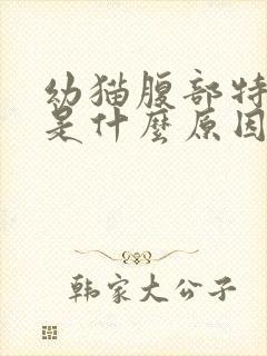 幼猫腹部特别鼓是什么原因