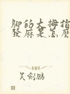 脚的大拇指一直发麻是怎么回事