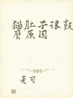 猫肚子很鼓是什么原因