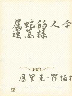 属蛇的人今天财运怎样