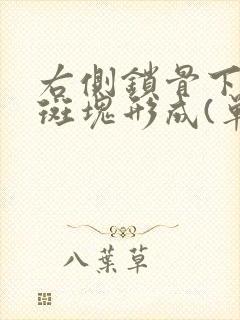 右侧锁骨下动脉斑块形成(单发)