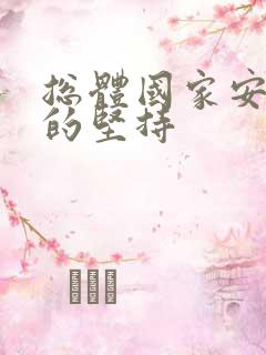 总体国家安全观的坚持