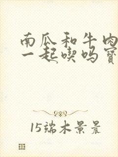 南瓜和牛肉可以一起吃吗宝宝辅食