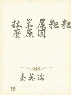 拉羊屎粑粑是什么原因