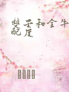 双子和金牛的匹配度