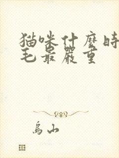 猫咪什么时候掉毛最严重