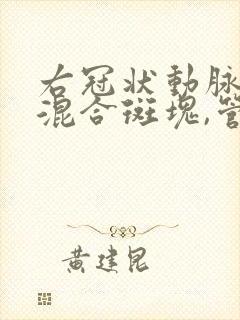 右冠状动脉近段混合斑块,管腔轻度狭窄