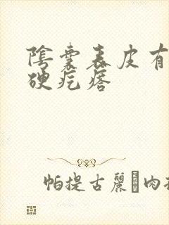 阴囊表皮有个小硬疙瘩