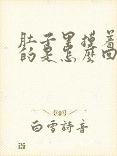 肚子里摸着硬硬的是怎么回事