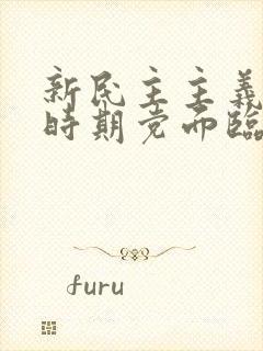 新民主主义革命时期党面临的主要任务是什么