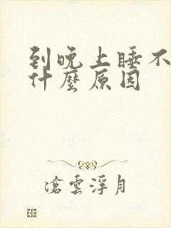 到晚上睡不着是什么原因