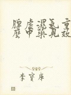 脾虚湿气重吃什么中药见效快