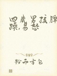 四岁男孩脾气暴躁,易怒