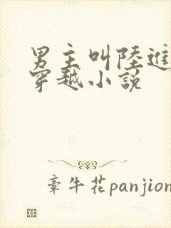 男主叫陆进扬的穿越小说