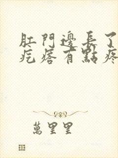 肛门边长了个硬疙瘩有点疼这是什么