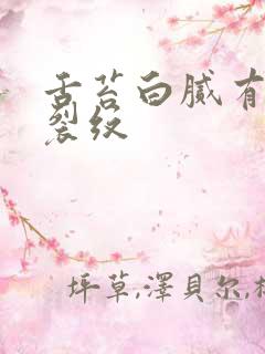 舌苔白腻有齿痕裂纹