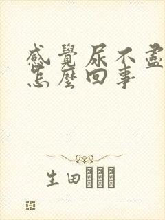 感觉尿不尽尿频怎么回事