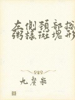 左侧颈部总动脉粥样斑块形成