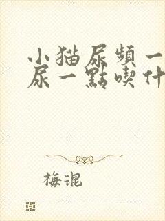 小猫尿频一次只尿一点吃什么药