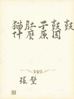 猫肚子鼓鼓的是什么原因