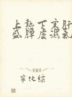 上热下寒肝火旺盛脾虚湿气重吃什么药