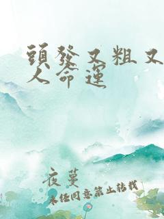 头发又粗又硬的人命运