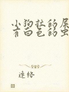 小狗拉的屎里面有白色的虫子