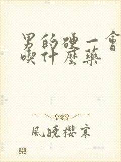 男的硬一会就软吃什么药