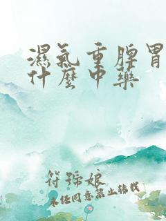 湿气重脾胃虚吃什么中药