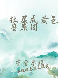 拉尿成黄色是什么原因