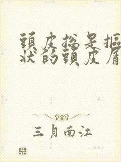 头皮总是抠出块状的头皮屑