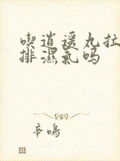 吃逍遥丸拉稀是排湿气吗