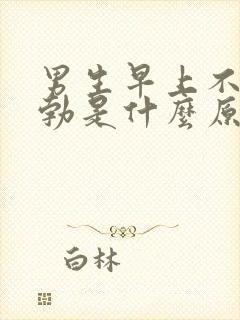 男生早上不会早勃是什么原因