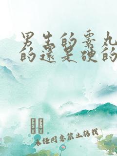 男生的睾丸是软的还是硬的