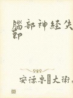 脑部神经失眠调节