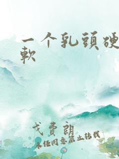 一个乳头硬一个软