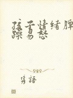 孩子情绪脾气暴躁易怒