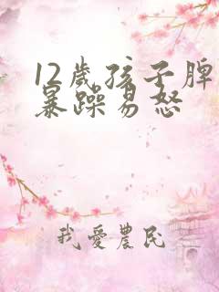 12岁孩子脾气暴躁易怒