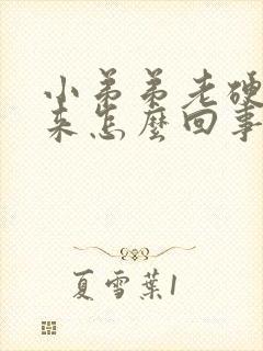 小弟弟老硬不起来怎么回事