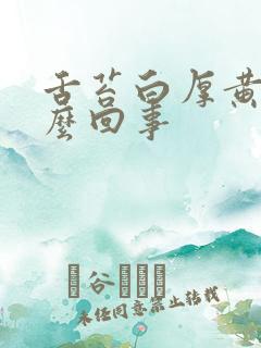 舌苔白厚黄是怎么回事