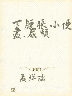 下腹胀小便尿不尽.尿频