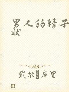 男人的精子成水状