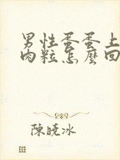 男性蛋蛋上有小肉粒怎么回事