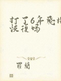 打了6年飞机能恢复吗