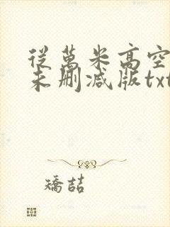 从万米高空降临未删减版txt